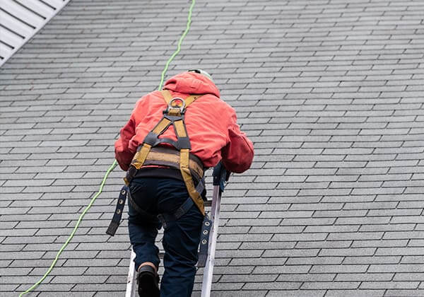 Professional on ladder with safety measures 