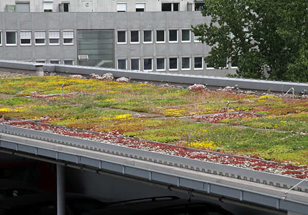 Flat Roof with grass on it