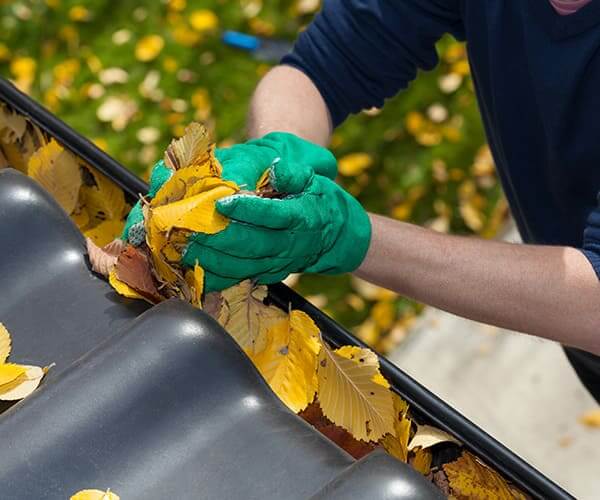 Professional Gutter Maintenance Services 