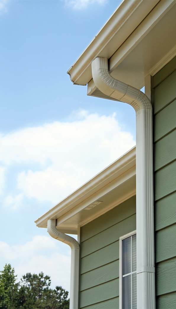 Professional Gutter Maintenance Services 