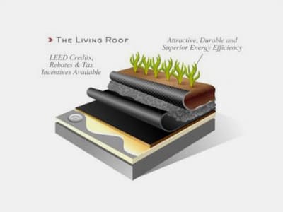 Green Roofing Lansing - Sherriff Goslin Company - veg1