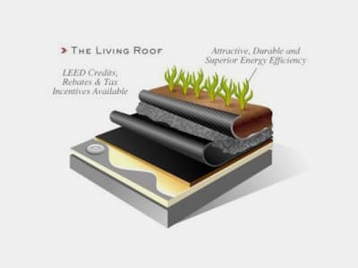 Vegetative Roofing layers 